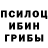 Псилоцибиновые грибы GOLDEN TEACHER shamil baisaev