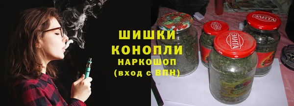 spice Богородск