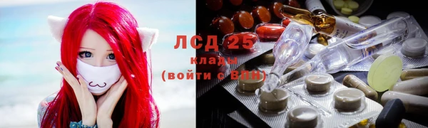 spice Богородск