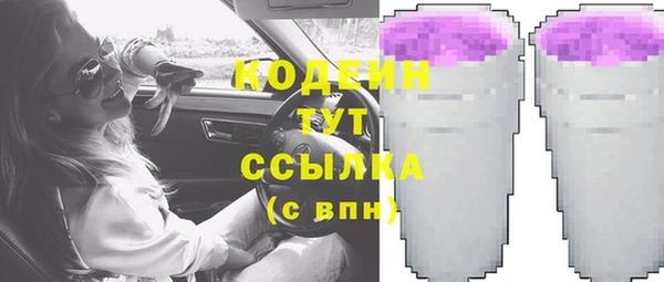 spice Богородск