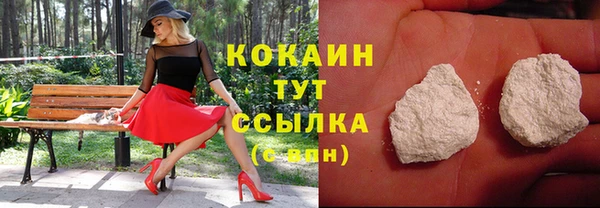 2c-b Богородицк
