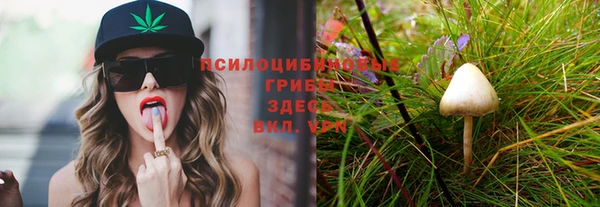 2c-b Богородицк