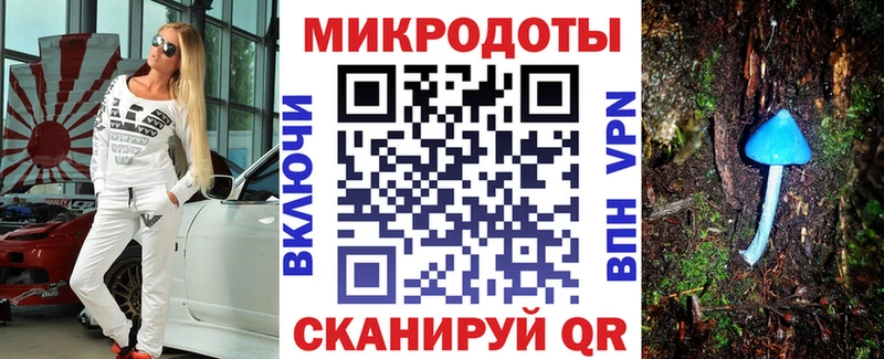 Псилоцибиновые грибы Psilocybe  Зеленогорск 